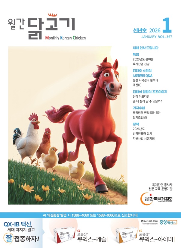 월간닭고기 표지